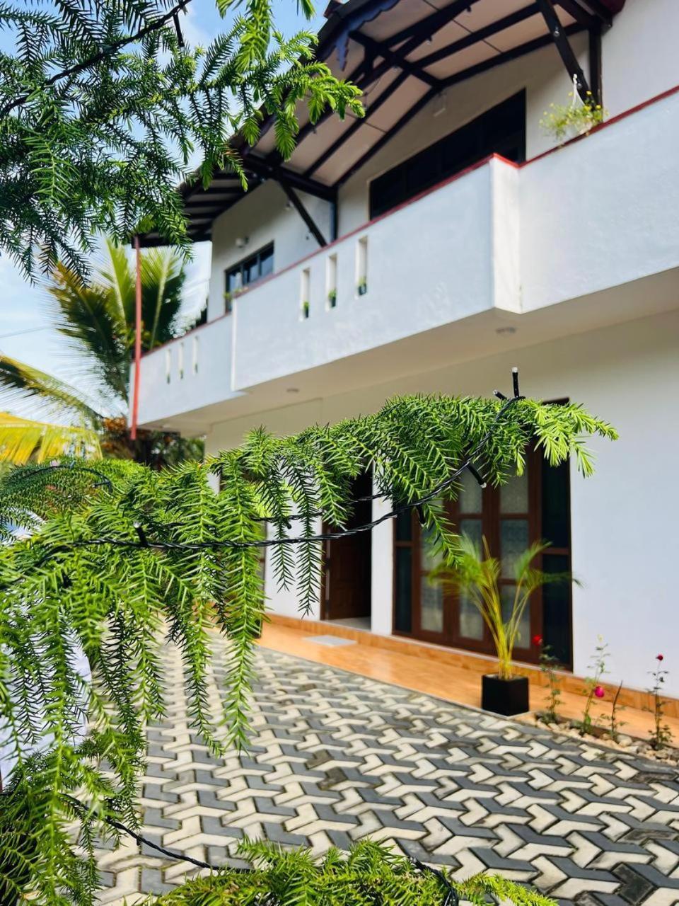 Montes Ella Bed & Breakfast Bagian luar foto