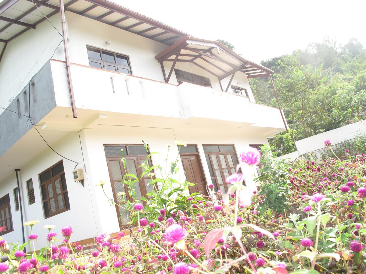 Montes Ella Bed & Breakfast Bagian luar foto